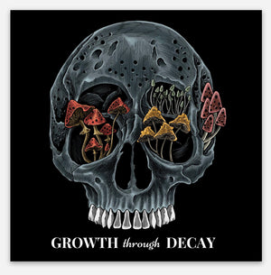 GROWTH through DECAY slap 3x3