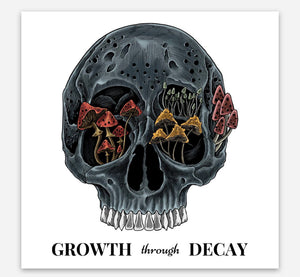 GROWTH through DECAY slap 3x3